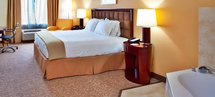 智选假日套房酒店布鲁克斯维尔- I - 75(Holiday Inn Express & Suites Brooksville-I-75)图片