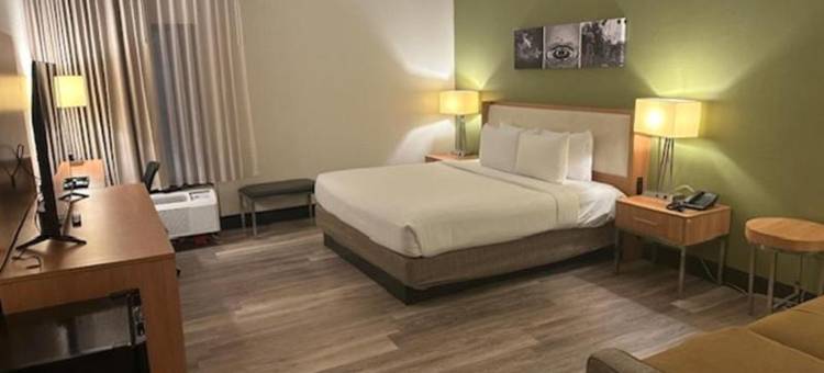 蒙哥马利东 I-240 快捷假日酒店(舒眠套房酒店孟菲斯)(Sleep Inn & Suites)图片