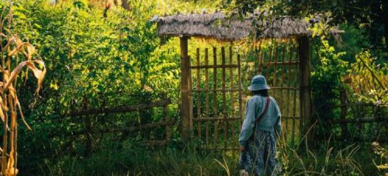 Imani Eco Sky Lodge Ngoc Chien图片