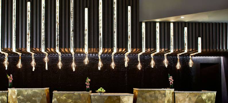 纳什维尔万丽酒店(Renaissance Nashville Hotel)图片