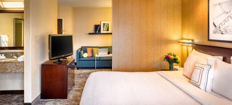 盐湖城市中心万豪SpringHill Suites 酒店(SpringHill Suites Salt Lake City Downtown)图片