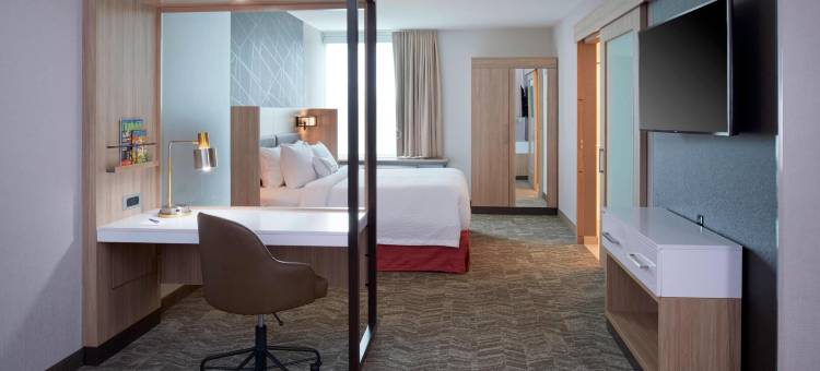 SpringHill Suites East Lansing University Area图片