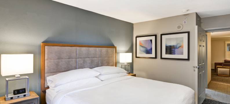 奥兰多市中心希尔顿安泊酒店(Embassy Suites by Hilton Orlando Downtown)图片