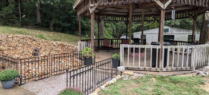 Ducks and Geese Are Here! Booking for Turkey Season Too. We're Ready for You!图片