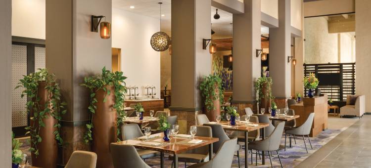 斯科特斯德希尔顿别墅度假村(Hilton Scottsdale Resort & Villas)图片