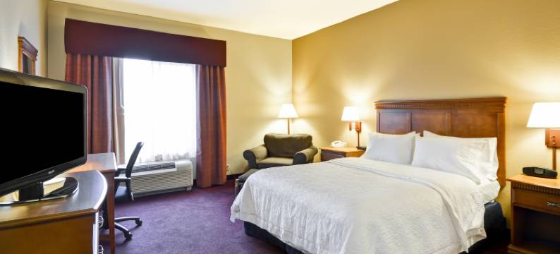 希尔顿欢朋酒店-博兹曼(Hampton Inn Bozeman)图片