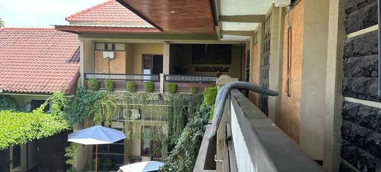 哈利的家庭旅馆(Hary's Homestay)图片