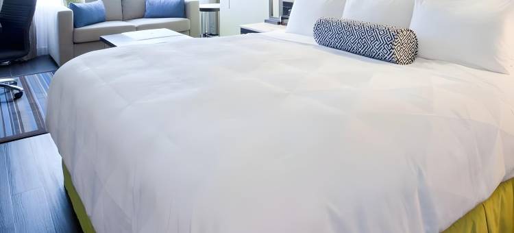新斯科舍哈里法克斯霍里斯希尔顿逸林酒店(The Hollis Halifax - a DoubleTree Suites by Hilton)图片
