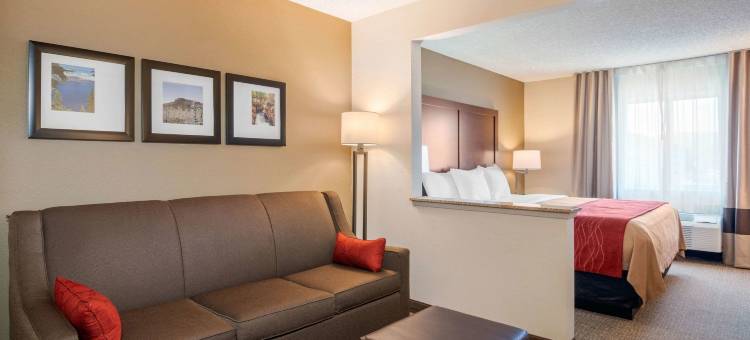 舒适酒店-梅德福北部(Comfort Inn Medford North)图片