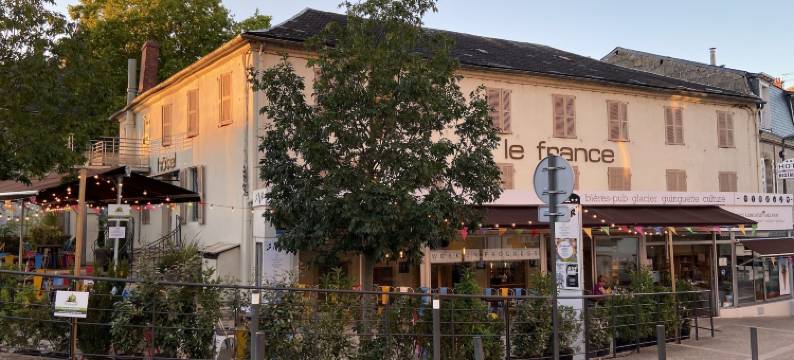 阿贝拉法国酒店(Abelha Hôtel le France)图片