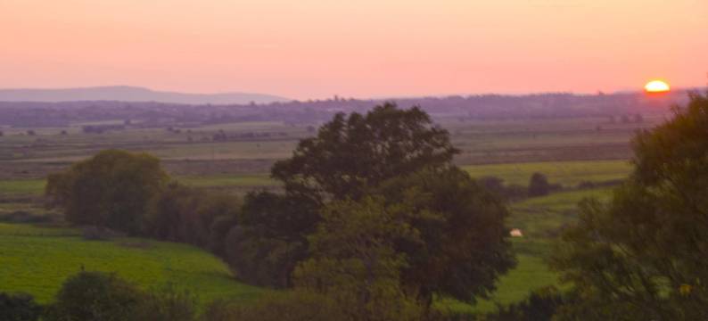克雷福林16世纪乡村民宿(Cleavers Lyng 16th Century Country House)图片