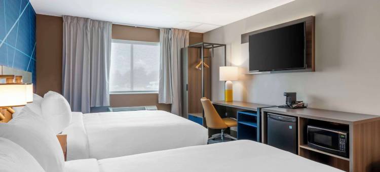 舒适酒店(Comfort Inn)图片