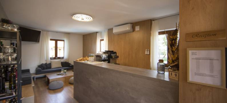 纳图拉酒店(Hotel Natura Vilanija)图片