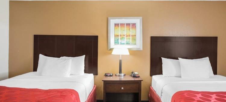 天空树(Sky Tree)图片