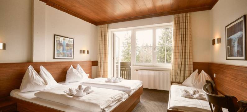 阿尔佩影响酒店的皮因茨高乐尔霍夫酒店(Hotel Pinzgauerhof by Alpeffect Hotels)图片