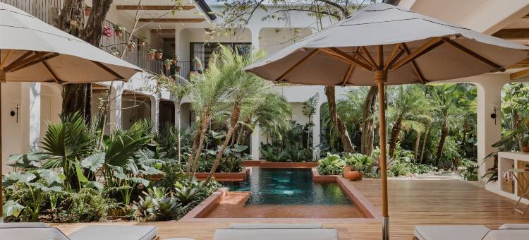 Sendero酒店(Sendero Hotel)图片