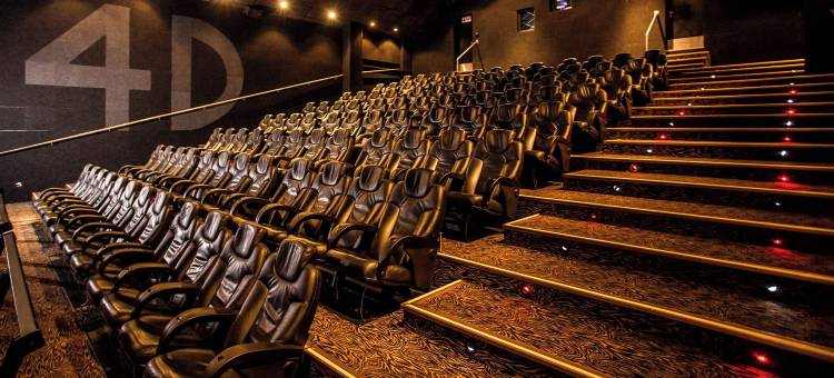 黄金岛主题公园酒店(Gold Reef City Theme Park Hotel)图片