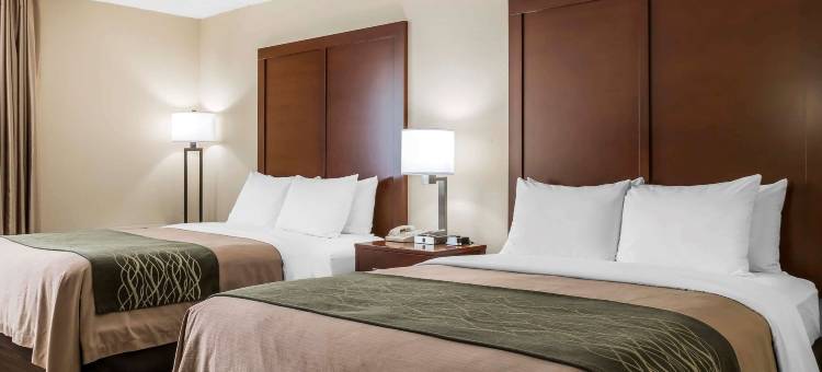 舒适酒店-波科诺山区(Comfort Inn - Pocono Mountains)图片