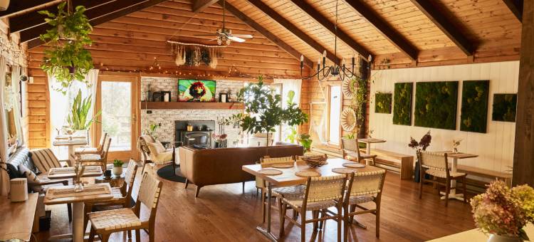 Amanita Dome. All-Inclusive Food and Drinks.图片