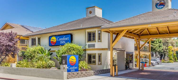 舒适酒店(Comfort Inn)图片