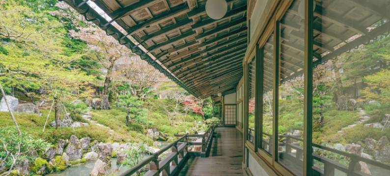 高野山真田坊莲华定院(Koyasan Rengejoin)图片