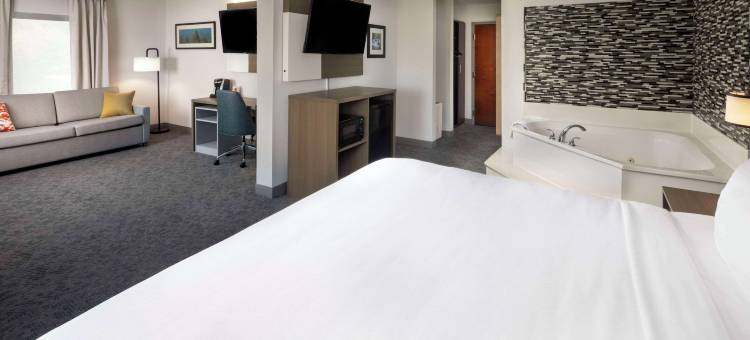 达洛尼加大学区舒适套房酒店(Comfort Inn & Suites Dahlonega University Area)图片