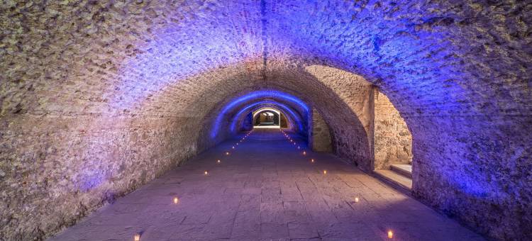 菲斯塔美洲人哈西恩达圣安东尼奥艾尔普恩特度假村和水疗中心(Fiesta Americana Hacienda San Antonio El Puente Resort & Spa)图片