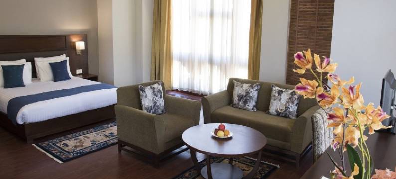 廷布城市酒店(CityHotel, Thimphu)图片