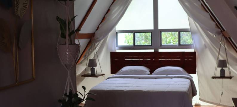 博克特萤火虫旅馆(Boquete Firefly Inn)图片