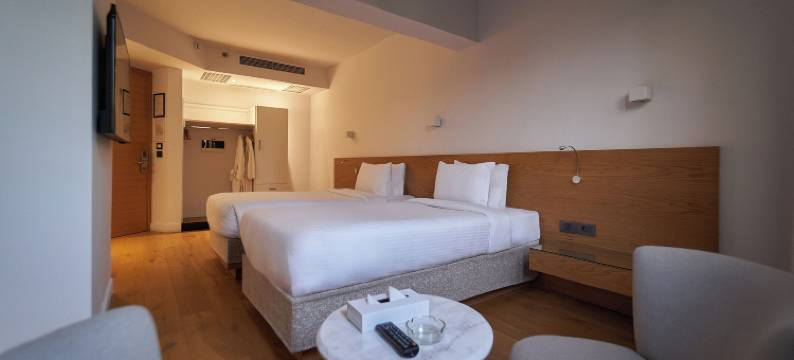 新开罗总统酒店(New President Hotel Cairo)图片