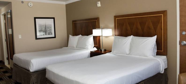 纽瓦克卡特雷特行政套房酒店(Hotel Executive Suites)图片