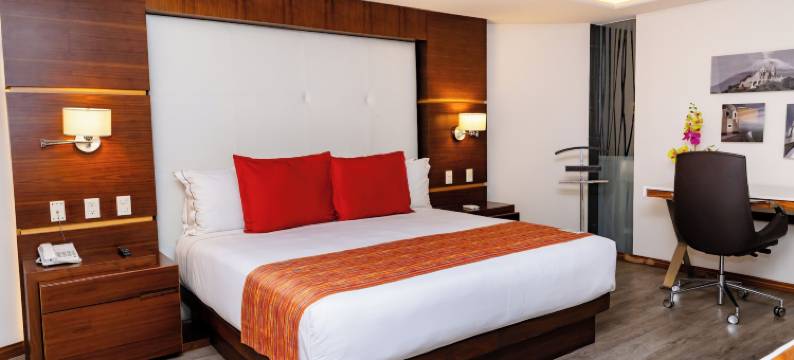 JF 格兰特普耶布拉酒店(JF Grand Puebla)图片