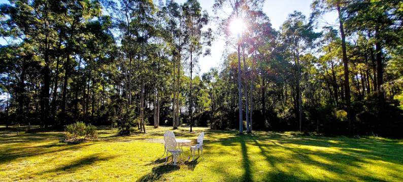 伍德兰恩小屋酒店(Woodlane Cottages Hunter Valley)图片