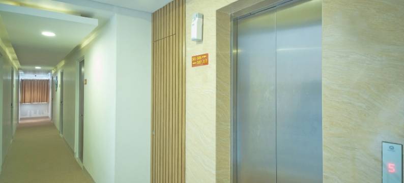 旗舰101苹果白金(Flagship 101 Apple Platinum)图片