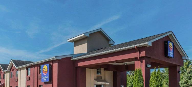 贝拉维农舒适酒店(Comfort Inn)图片