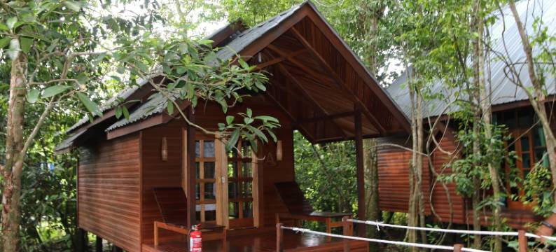 婆罗洲天然苏克毕丽特山林小屋(Borneo Natural Sukau Bilit Resort)图片