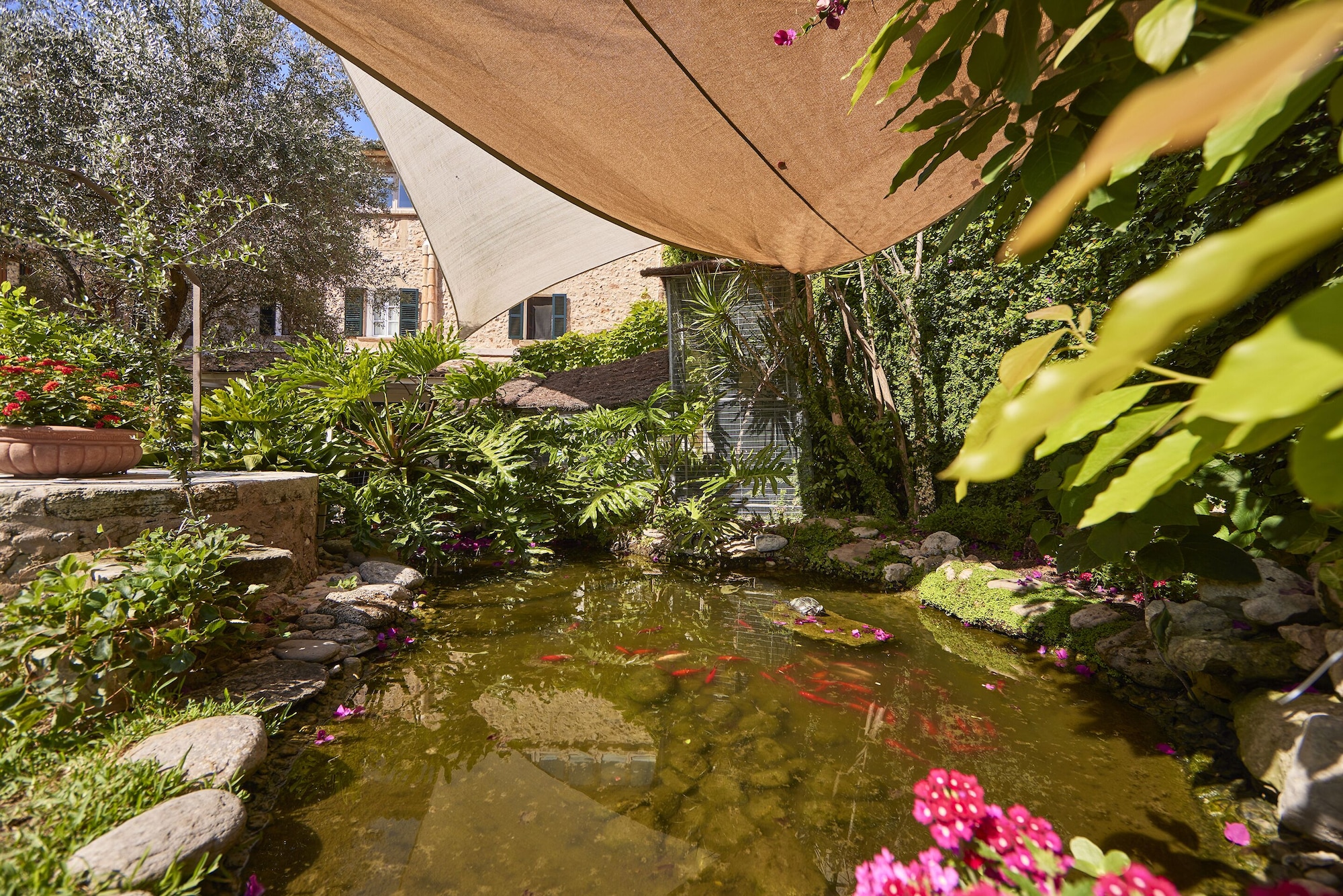 Casa Son Sant Jordi Over view