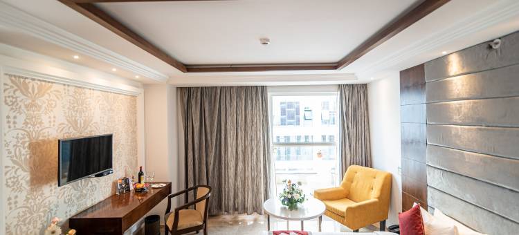 巴吉尼艾康优质酒店(Bhagini Icon Premier Hotel)图片