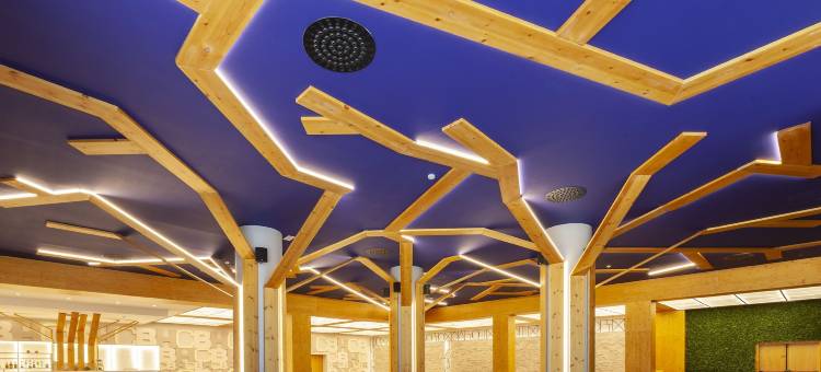 布尔戈斯城灵魂酒店(Spirit Hotel Ciudad de Burgos)图片