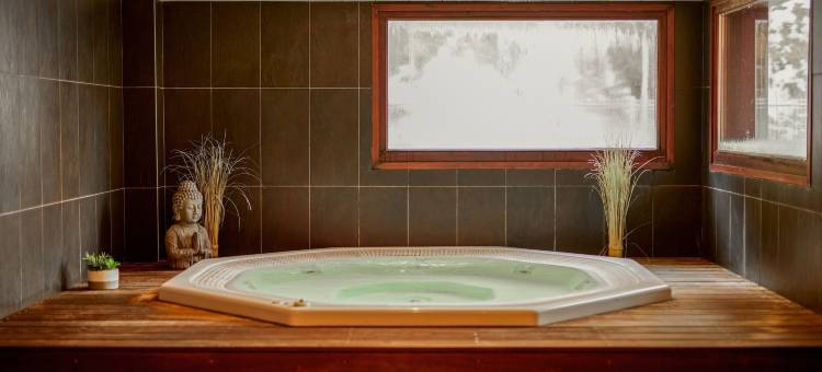 勃朗峰多米奥波特斯度假村(Dormio Resort les Portes du Mont Blanc)图片