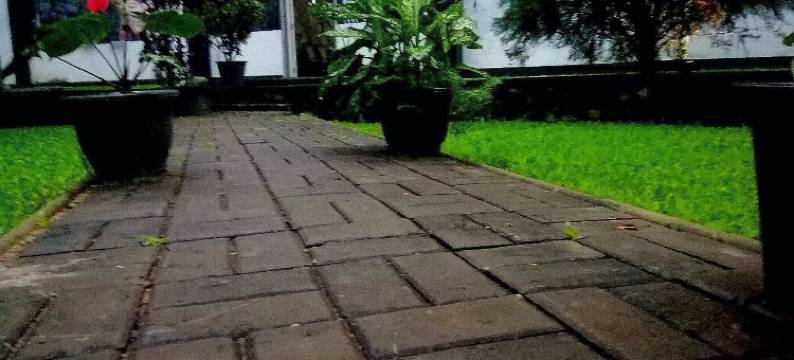 雄狮自然酒店(Hotel Lion Nature)图片