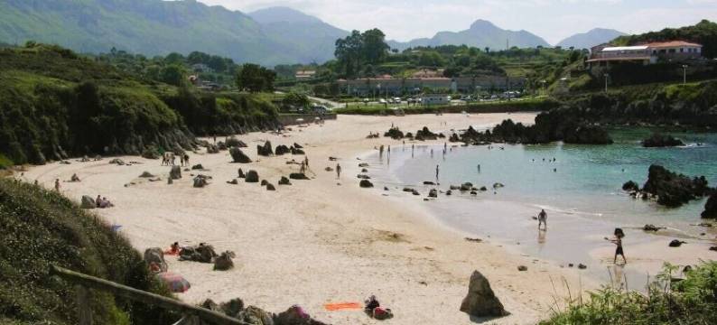 托罗海滩新凯公寓酒店(Apartamentos Silken Playa de Toró)图片