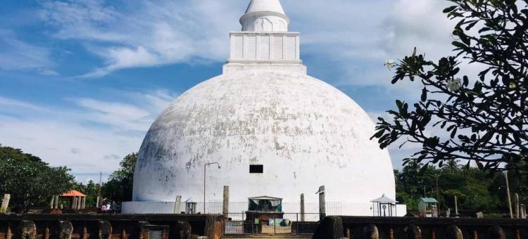 维威卡旅馆(Viveka Inn Guest and Yala Safari)图片