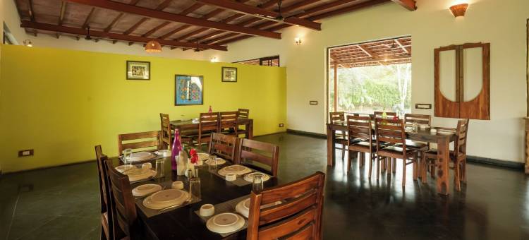 马胡阿托拉塔多巴(Mahua Tola Tadoba)图片