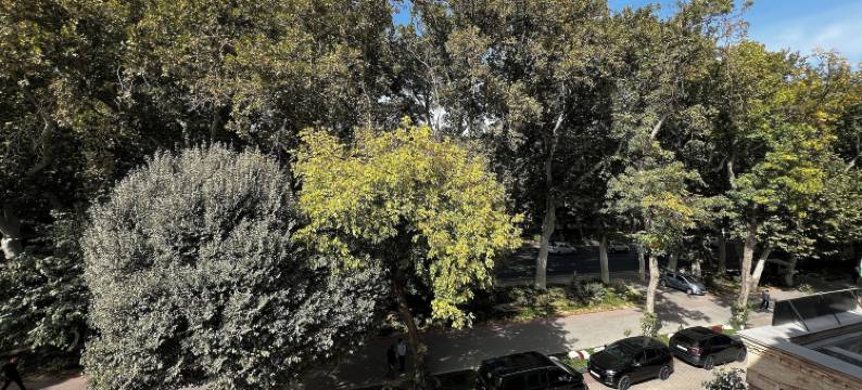 大陆酒店(Continental Hotel Samarkand)图片