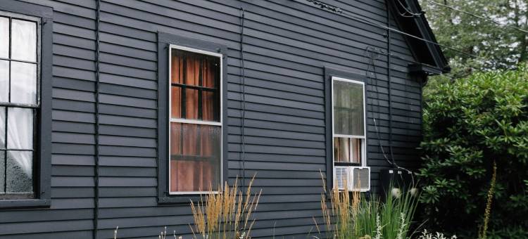 神秘的艾琳(Eileen of Mystic)图片