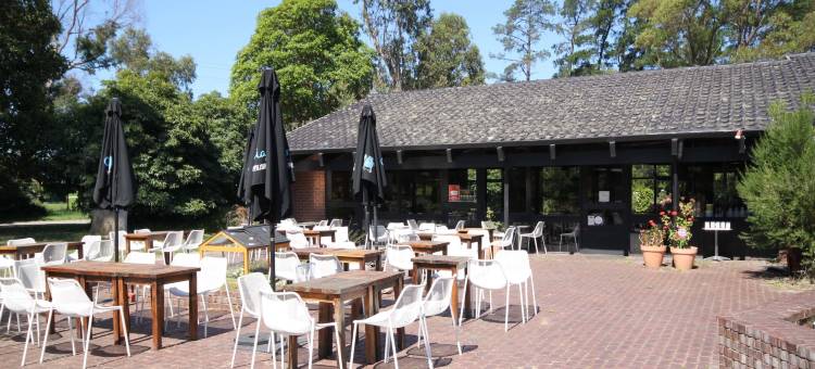 梅拉鲁加酒店(Melaleuca Lodge Beaconsfield)图片