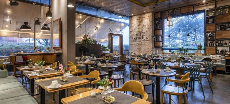 100 奢华套房 - 优选酒店(100 Luxury Suites)图片