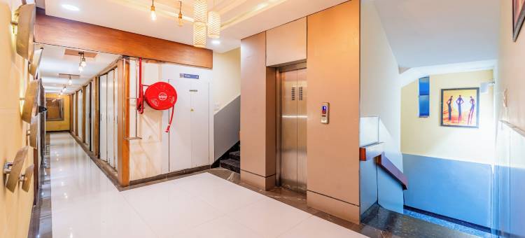 Treebo 麝香(Treebo Musk)图片