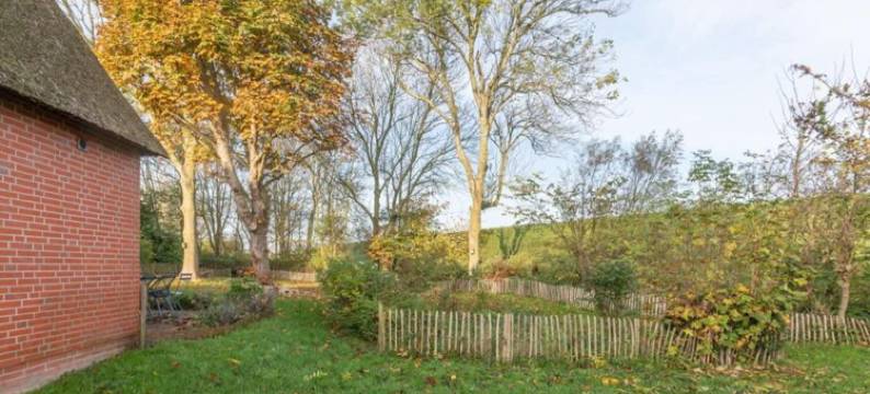 带瓷砖炉的茅草屋度假屋(Reetgedecktes Ferienhaus Mit Kachelofen)图片